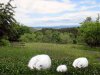 Landschaft mit Katze1.jpg